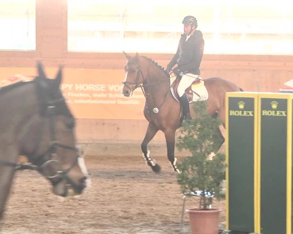 Reitturnier Gut Winkelacker/Obb. 2021