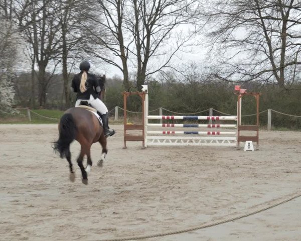 Reitturnier Scharnebeck 2021