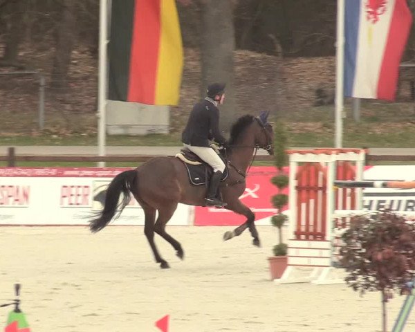 Reitturnier Westergellersen 2021