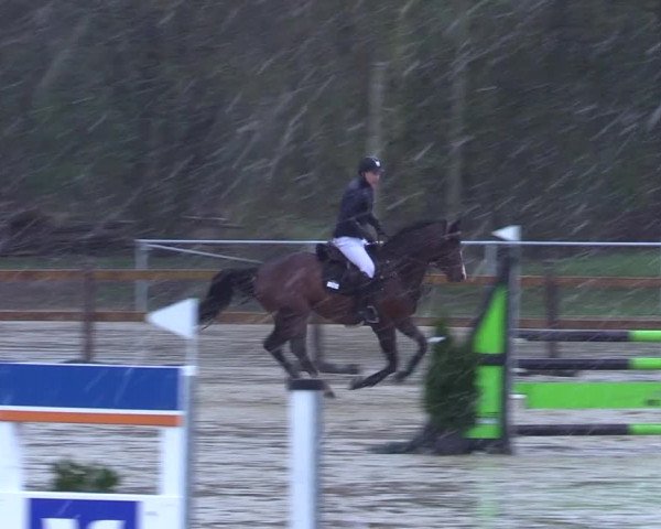 Reitturnier Oelde 2021