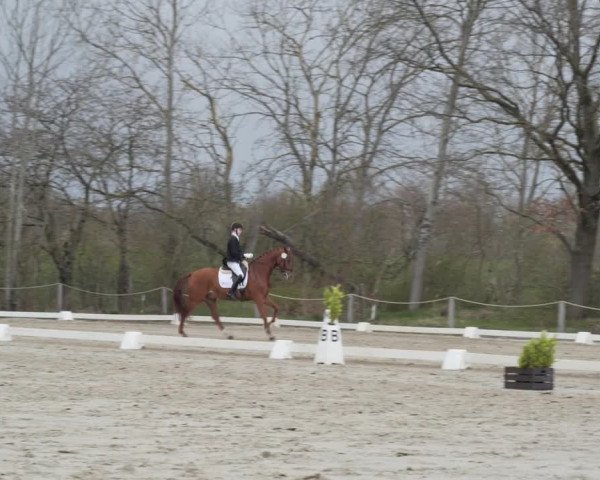 Reitturnier Scharnebeck 2021