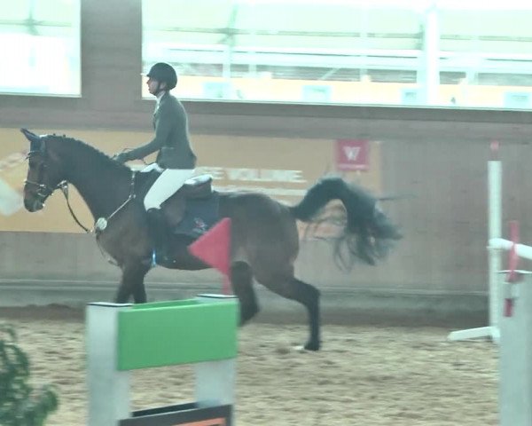 Reitturnier Gut Winkelacker/Obb. 2021
