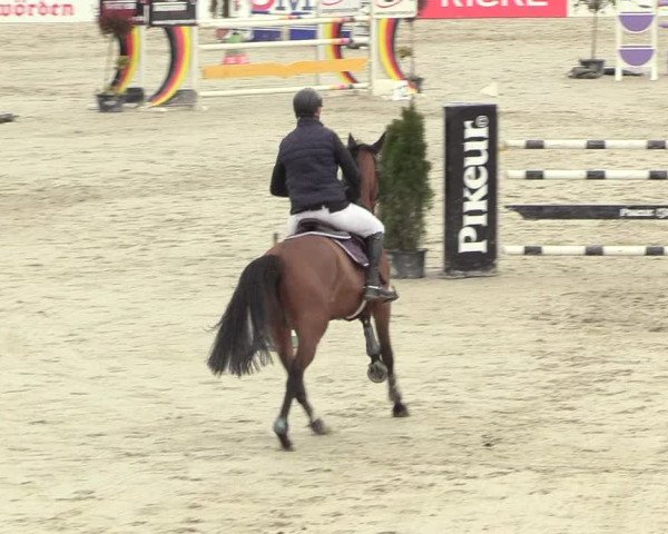 Reitturnier Westergellersen 2021