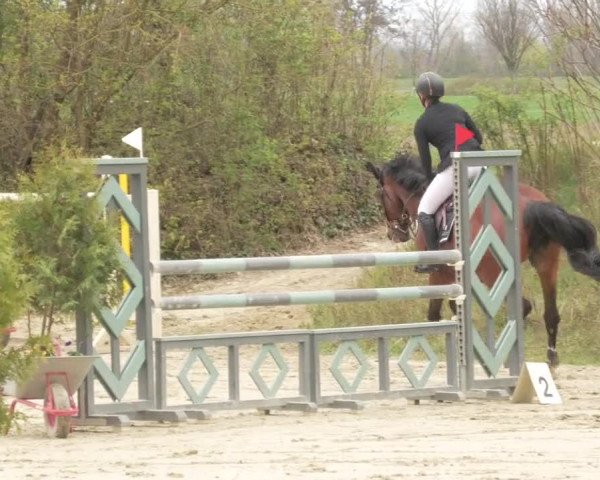 Reitturnier Nordheim-Wattenheim 2021