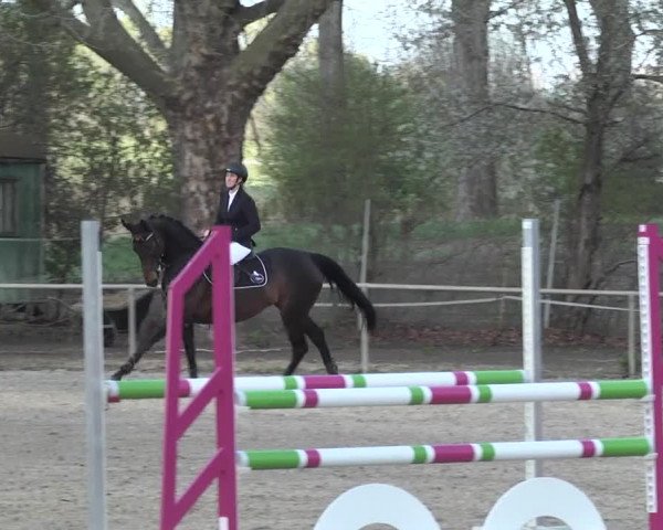 Reitturnier Lampertheim 2021