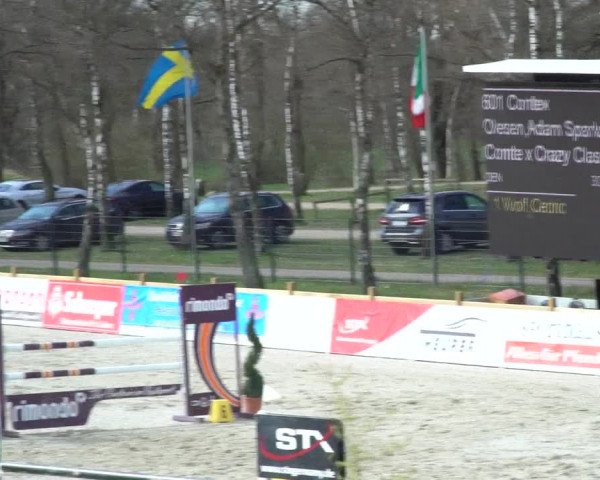 FEI Reitturnier Westergellersen (GER) 2021