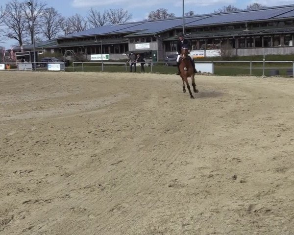 Reitturnier Coesfeld-Lette 2021