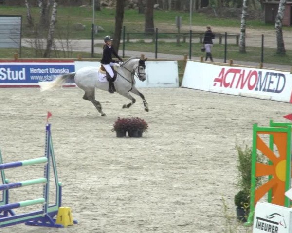 FEI Reitturnier Westergellersen (GER) 2021