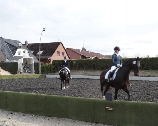 Reitturnier Handorf 2021