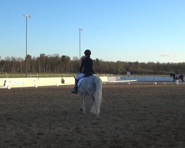 Reitturnier Bremervörde/Reitsportzentrum 2021