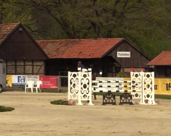 Reitturnier Münster-Handorf 2021