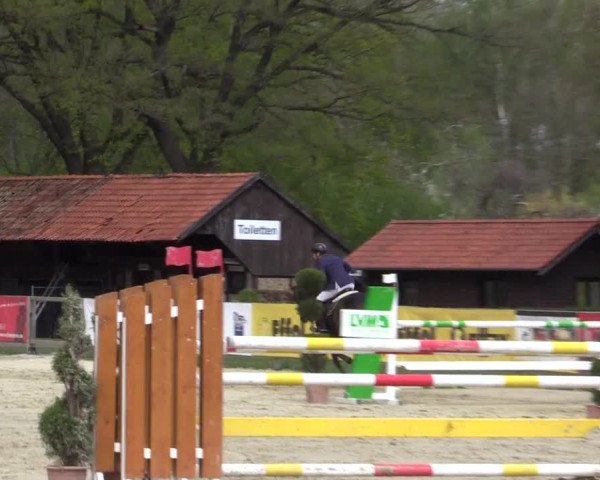 Reitturnier Münster-Handorf 2021