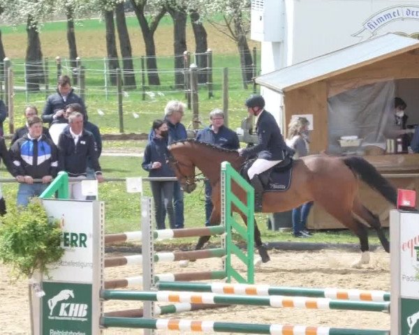 Reitturnier Zoltingen/Schw. 2021