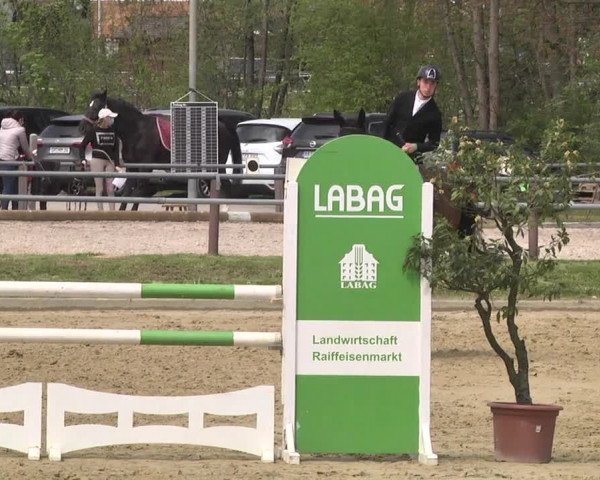 Reitturnier Winnenden 2021