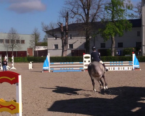 Reitturnier Neustadt/Dosse 2021