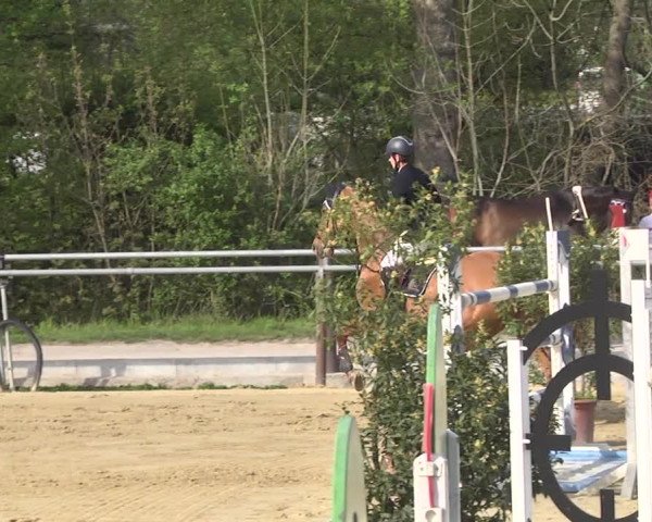 Reitturnier Winnenden 2021