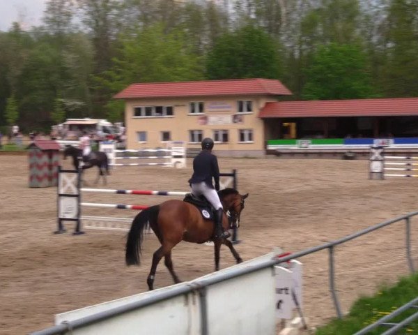 Reitturnier Lgl.-Oberhain, B95 2021