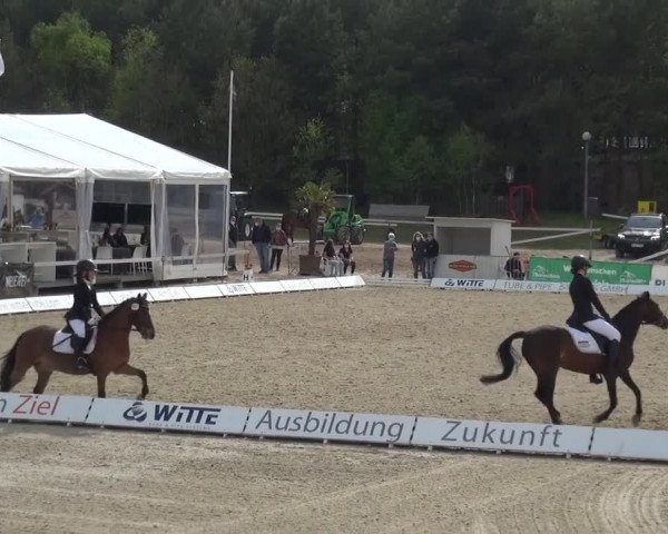 Reitturnier Rastede-Nethen 2021