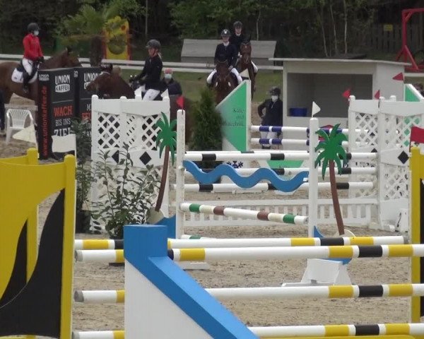 Reitturnier Rastede-Nethen 2021
