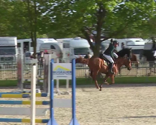 Reitturnier Rot am See- Musdorf 2021