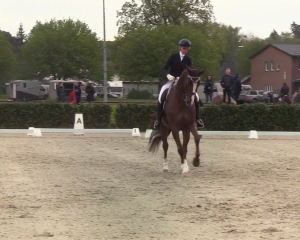 Reitturnier Elmshorn 2021