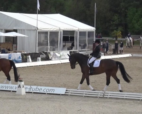 Reitturnier Rastede-Nethen 2021