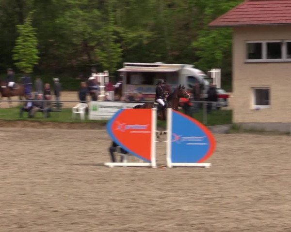 Reitturnier Lgl.-Oberhain, B95 2021