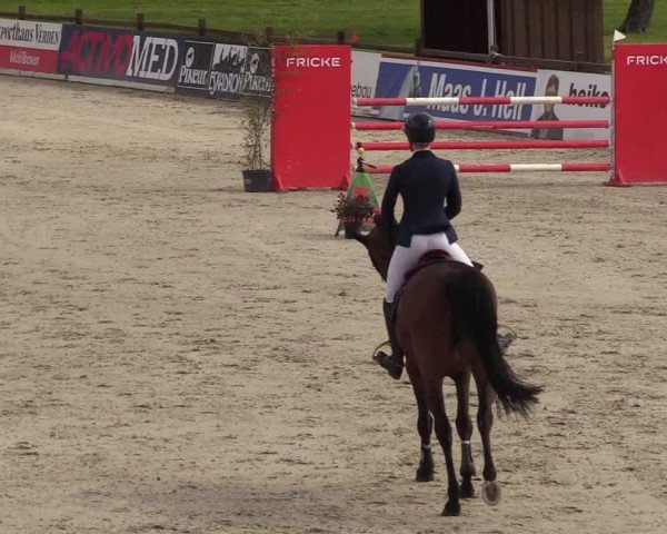 Reitturnier Westergellersen 2021