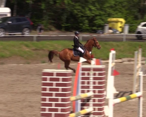 Reitturnier Lgl.-Oberhain, B95 2021