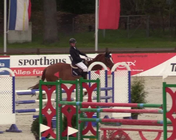 Reitturnier Westergellersen 2021