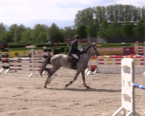 Reitturnier Neustadt/Dosse 2021