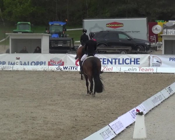 Reitturnier Rastede-Nethen 2021