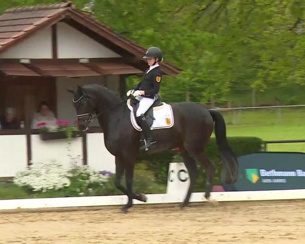 Reitturnier Aulendorf 2021