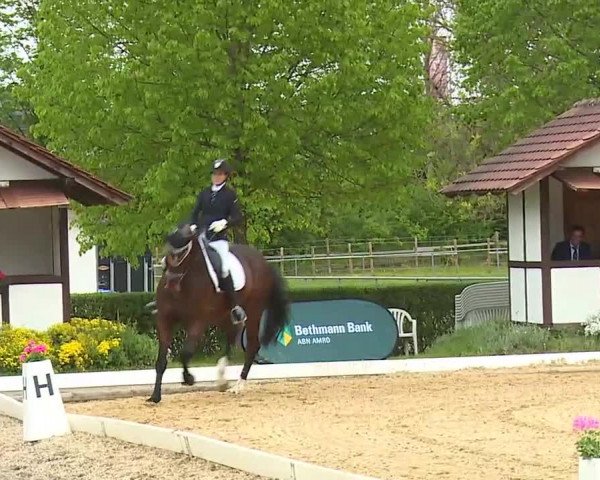 Reitturnier Aulendorf 2021