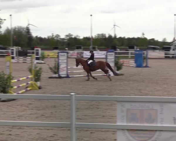 Reitturnier Ladelund 2021