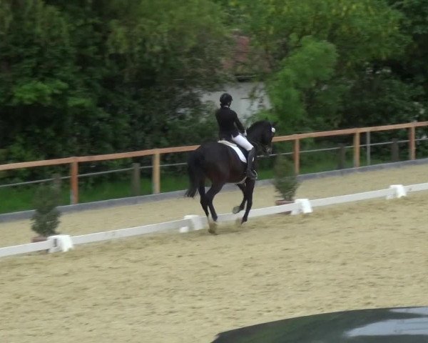 Reitturnier Leichlingen 2021