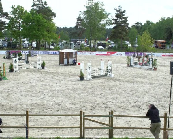 Reitturnier Westergellersen 2021