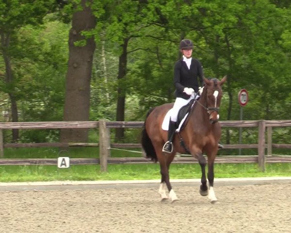 Reitturnier Schwanewede 2021