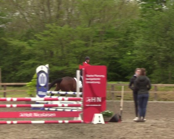 Reitturnier Kleinsolt 2021