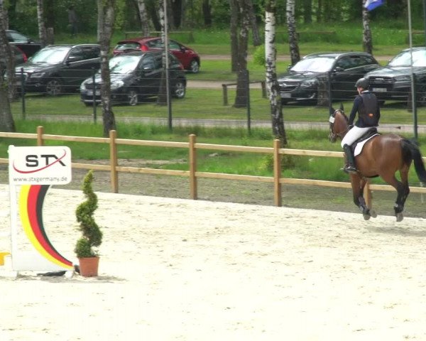 Reitturnier Westergellersen 2021