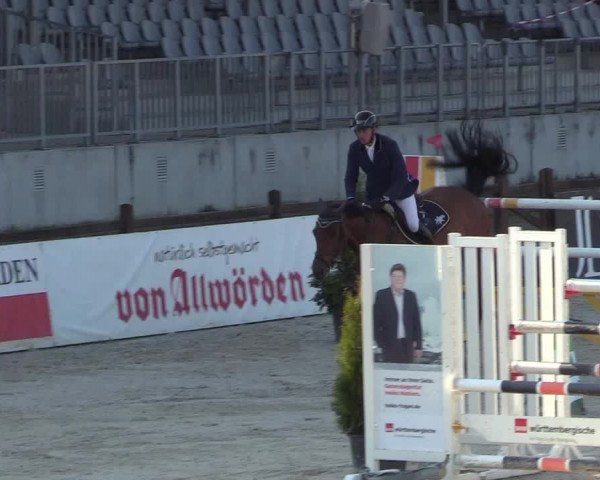 Reitturnier Westergellersen 2021
