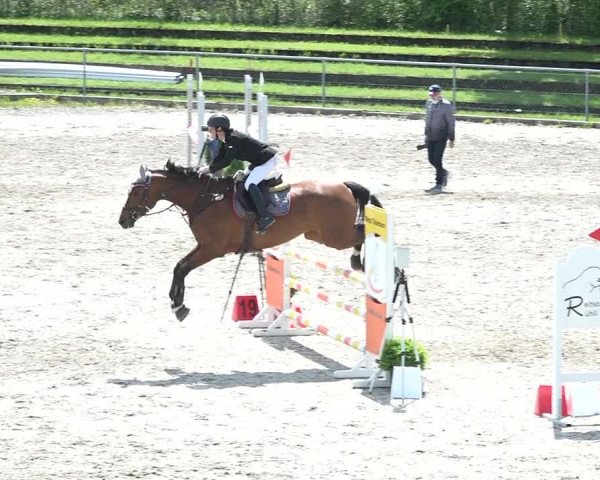 Reitturnier Schaffhausen 2021