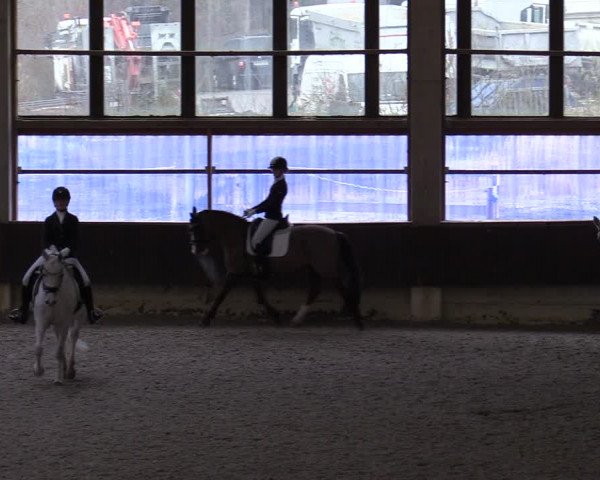 Hallennachwuchsturnier Herford 2022