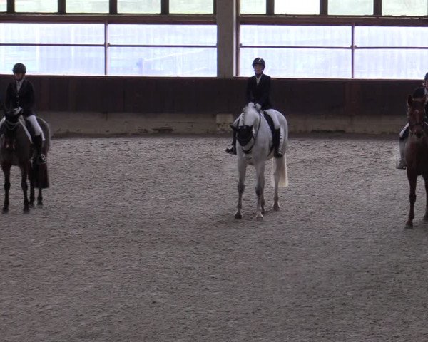 Hallennachwuchsturnier Herford 2022