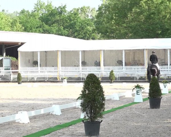 Reitturnier Dielsdorf, Horsepark 2021