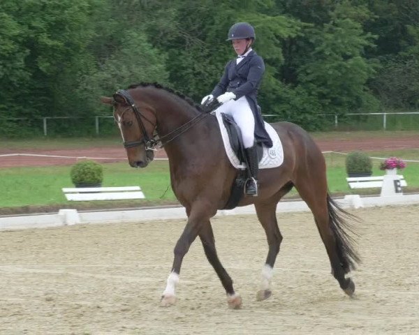 Reitturnier Heiligenwald 2021