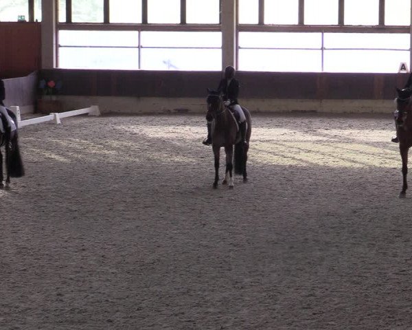 Hallennachwuchsturnier Herford 2022