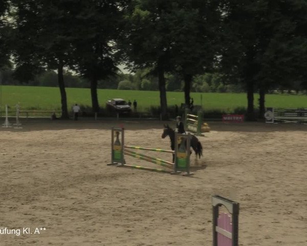 Reitturnier Recklinghausen 2021