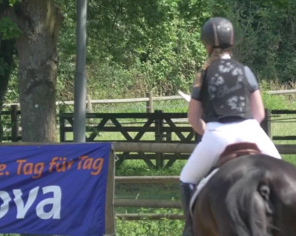 Reitturnier Lahr-Langenwinkel 2021