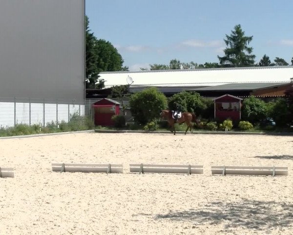 Reitturnier Nürnberg/Mfr. 2021